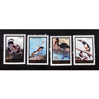 КНДР. Корея 1984 г. Птицы. Фауна, полная серия из 4 марок. Чистая #0068-Ч1P8