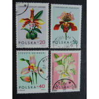 Польша 1965 г. Цветы.