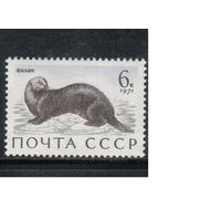 СССР-1971, (Заг.3965) ** , Фауна, Калан,