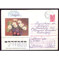 Цветы Бобруйск
