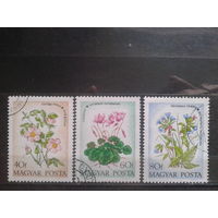 Венгрия 1973 Цветы