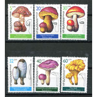 Болгария - 1987г. - Съедобные грибы - полная серия, MNH, одна марка с незначительными вмятинками (видны только с обратной стороны) [Mi 3546-3551] - 6 марок