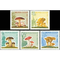 Грибы СССР 1964 год (3123-3127) серия из 5 марок (без лакового покрытия)