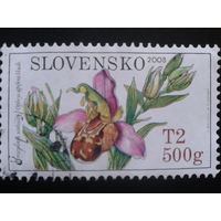 Словакия 2008 орхидеи