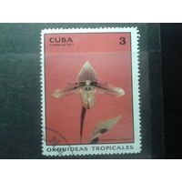 Куба 1971 Тропическая орхидея
