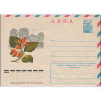 Художественный маркированный конверт СССР N 12657 (07.02.1978) АВИА  [Боярышник]