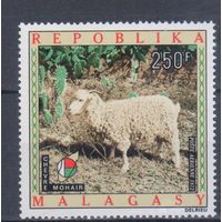 [2278] Мадагаскар 1972. Фауна.Домашние животные.Овца. Одиночный выпуск. MNH