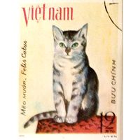 Вьетнам, кошка