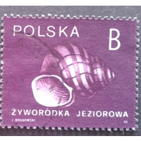 Польша 1990 стандар морская раковина фауна