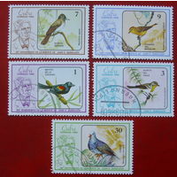 Куба. Птицы. ( 5 марок ) 1986 года. Б-17.