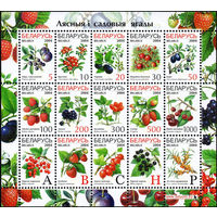 Седьмой стандартный выпуск (9 и 13 февраля) Беларусь 2004 год (538-552) серия из 15 марок в малом листе