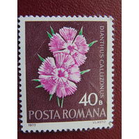 Румыния 1972г. Флора.