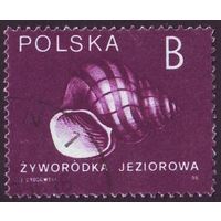 Раковины улиток Польша 1990 год 1 марка