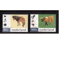 Нидерланды-1997 (Мих.1608-1609) **/*  ,   Фауна, Домашние животные, Лошади
