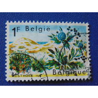 Бельгия 1967 г. Цветы.