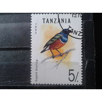 Танзания 1992 Птица