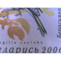 Стандарт 2006. 200 р. Ошибка печати (_425)