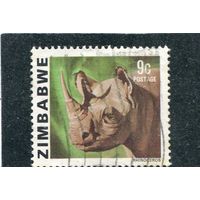 Зимбабве. Фауна. Носорог