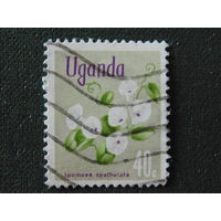 Уганда. Флора.