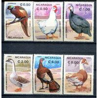 Никарагуа - 1985г. - Птицы - полная серия, MNH, одна марка с отпечатком [Mi 2599-2604] - 6 марок