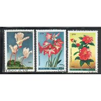 Цветы КНДР 1985 год серия из 3-х марок