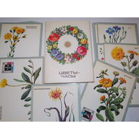Цветы-часы, набор открыток, 1980 г, 16 шт полный комплект