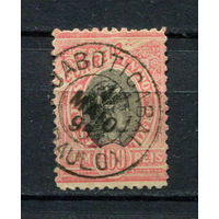 Бразилия - 1894/1897 - Символ Свободы 100R - [Mi.108] - 1 марка. Гашеная.  (Лот 44AU)