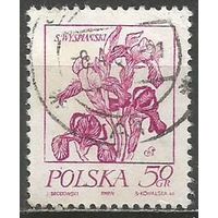 Польша. Цветочные рисунки С.Выспянского. Ирис. 1974г. Mi#2296.