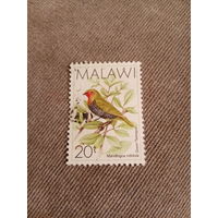 Малави. Птицы. Mandingoa nitidula