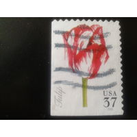 США 2005 тюльпан