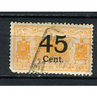 Нидерланды - 1919 - Железнодорожная марка 45С - 1 марка. Гашеная.  (Лот 39DM)
