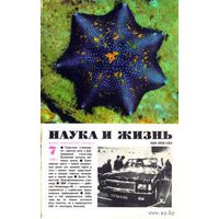 Журнал "Наука и жизнь", 1981, #7