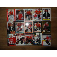 Хоккейные карточки.НХЛ.Вратари.Chicago Blackhawks. 45 разных карт