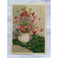1957. цветы. Голяховский. Космея