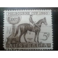 Австралия 1960 Скачки, кубок Мельбурна
