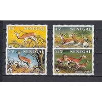 Фауна. Сенегал. 1986. 4 марки. Michel N 875-878 (9,0 е)