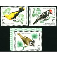 Птицы СССР 1979 год 3 марки