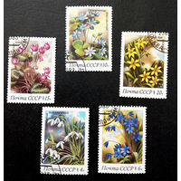 СССР 1983 г. Весенние цветы. Растения. Флора, полная серия из 5 марок #0072-Ф2P13