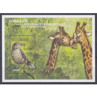 2000 Центральноафриканская Республика 2459/B638 Птицы 9,00 евро
