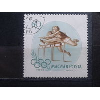 Венгрия 1956 Олимпиада в Мельбурне, бег с барьерами