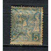 Монако - 1891/1894 - Принц Альберт I 5С - [Mi.13] - 1 марка. Гашеная.  (Лот 89Dj)