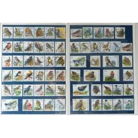 Птицы 68 марок Фауна 1985-2009 Бельгия Стандарт А.Бузин