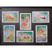 Вьетнам 1990 Золотые рыбки Полная серия