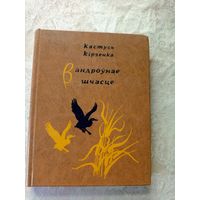 Кастусь Кірэенка "Вандроўнае шчасце"\11д