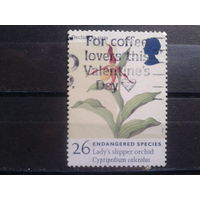 Англия 1998 Орхидея