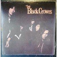 The Black Crowes	Shake your money maker