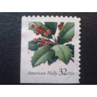 США 1997 Рождество, ягоды