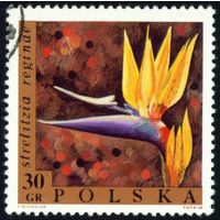 Редкие цветы Польша 1968 год 1 марка