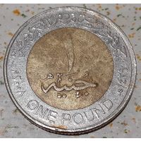 Египет 1 фунт, 2008 (3-8-114)
