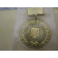 Памятная медаль:"Дзень беларускага пісьменства. 2 верасня 2012г. Глыбокае"